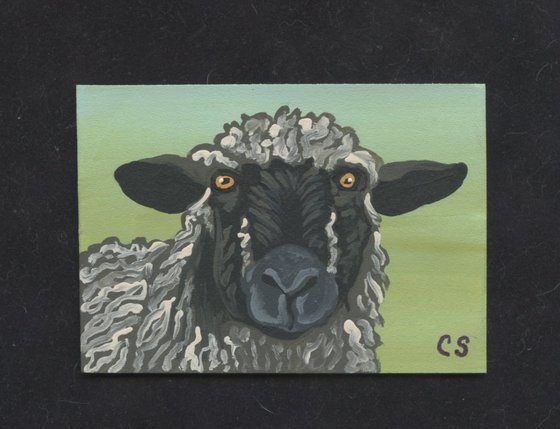 ACEO ATC Original Miniature Painting Brown Sheep Farmyard Art-Carla Smale