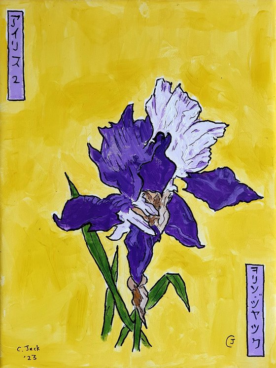 single iris II