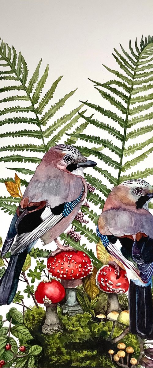 Jay Birds by Lisa Lennon