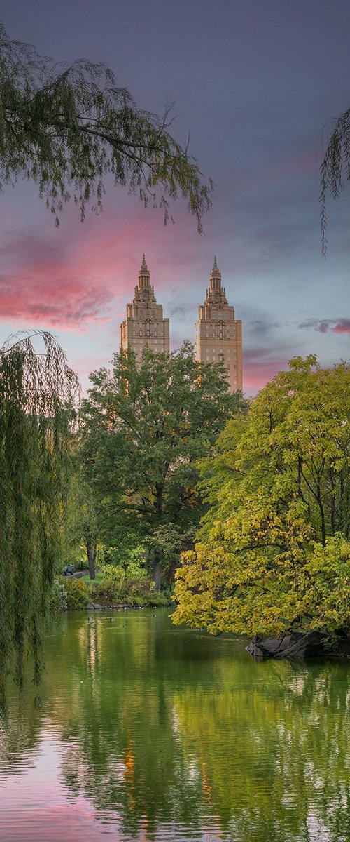 Central Park by Nick Psomiadis