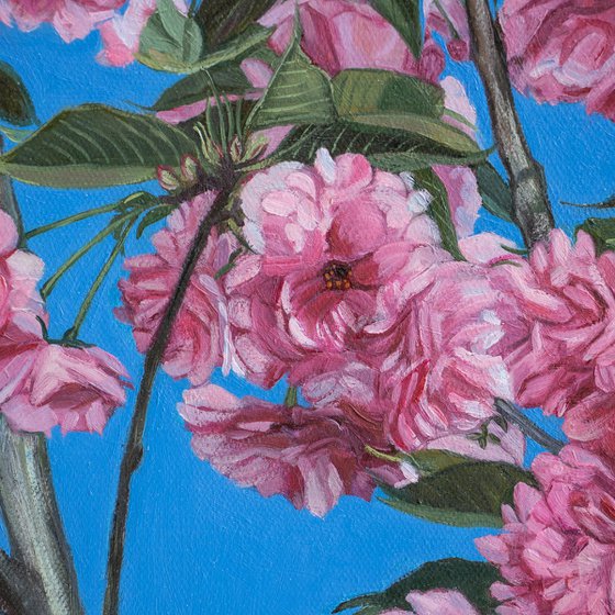 photorealism - cherry blossoms