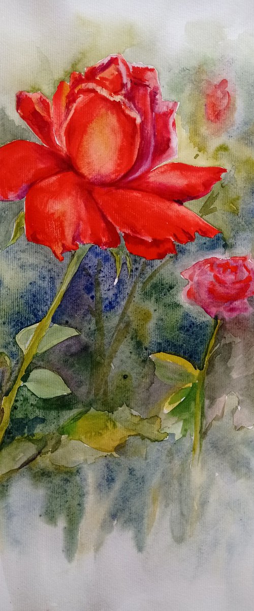 Red rose by Liubov Ponomarova