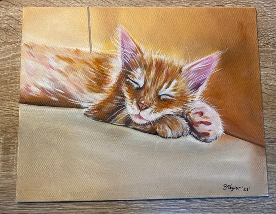 Sleepy kitty oil painting