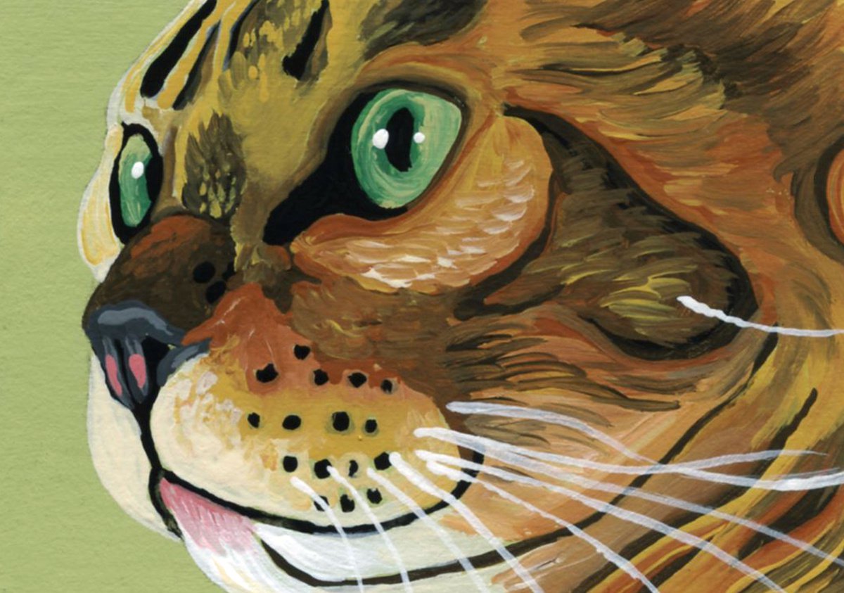 ACEO ATC Original Miniature Painting Bengal Cat Pet Feline Art-Carla Smale by carla smale