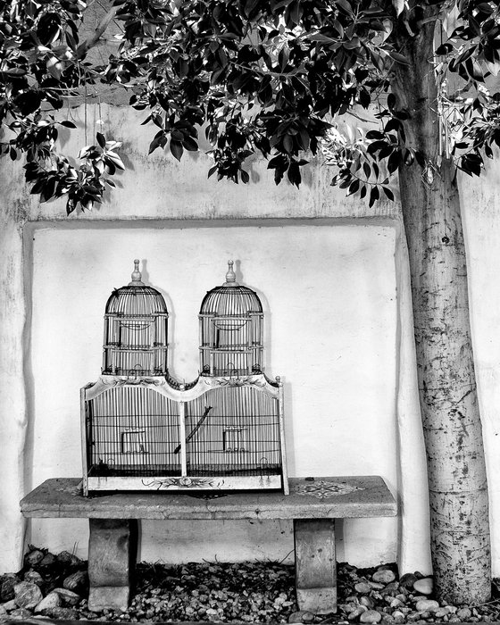 BIRDCAGE INN Palm Springs