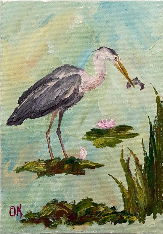 Fishing heron