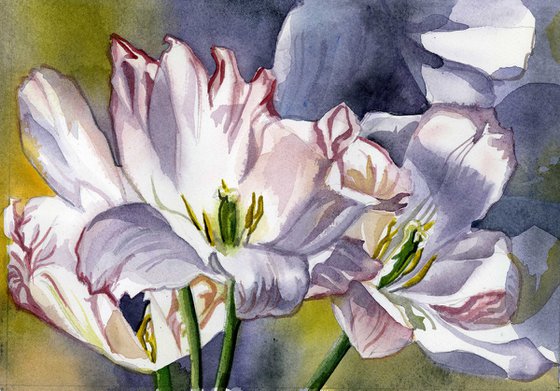 three tulips watercolor floral