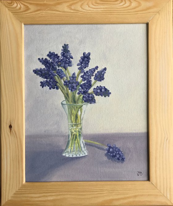 Grape Hyacinth in Oil