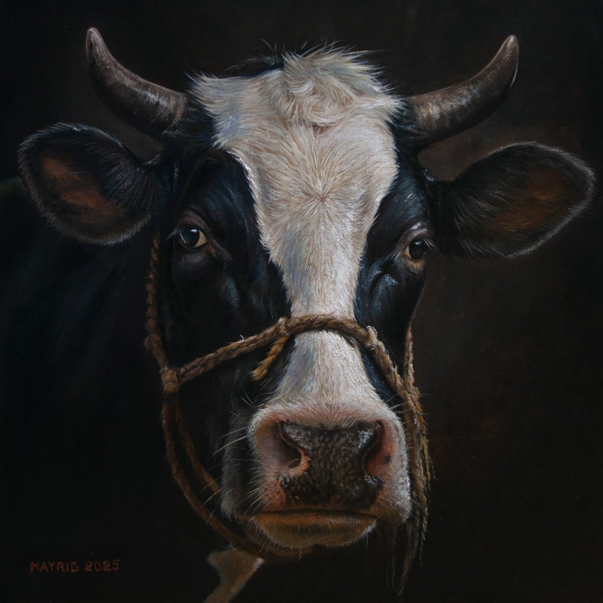 Photorealistic Oil Painting , Bertha By Mayrig Simonjan, 16 X 16, Artwork For Sale On Artfinder