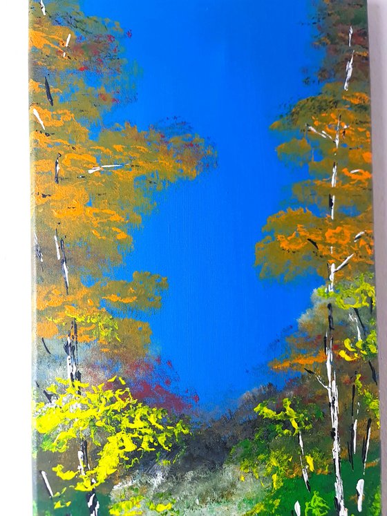 Heavenly Birches