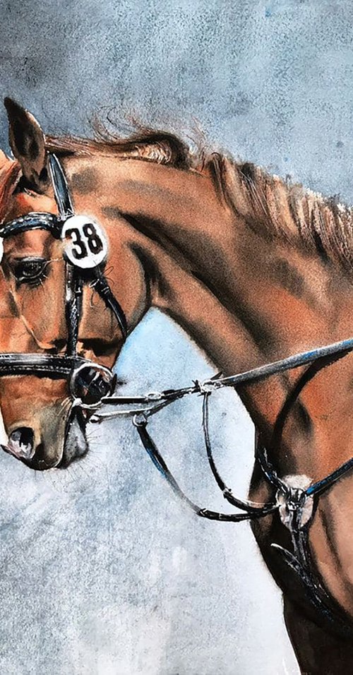 racehorse №38 by Irina Kukrusova