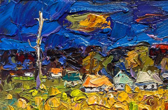 Village fields