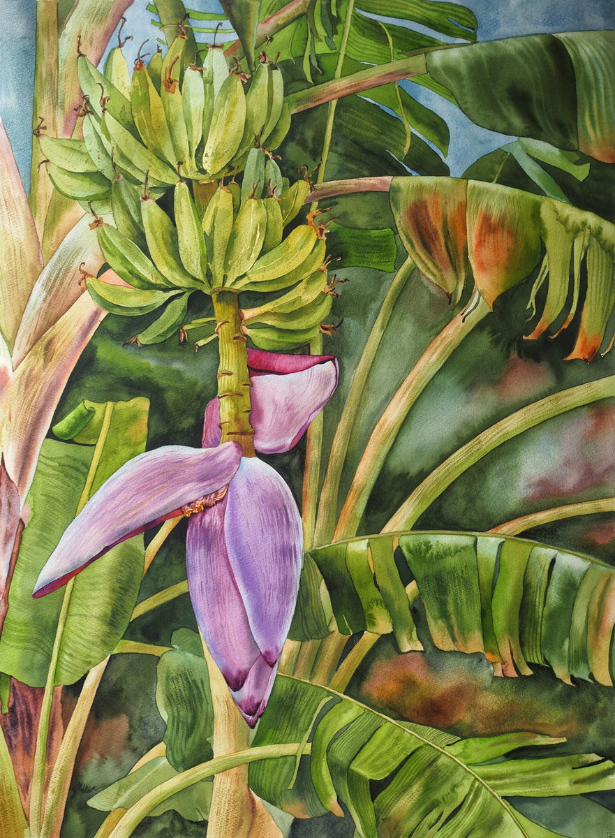 Banana palm - original watercolor by Delnara El