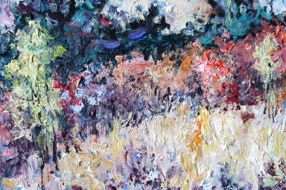 Autumn Grasses