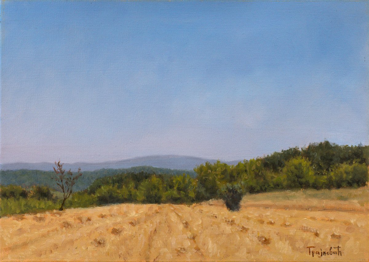 Impressionistic Landscape Oil Painting By Dejan Trajkovic, 17 X 13, Through The Stubble, Original Artwork