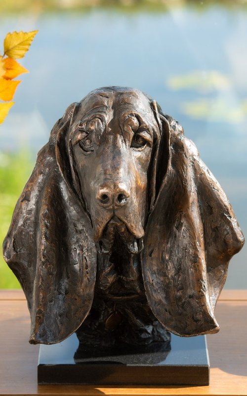 Basset Portrait Bronze by Tanya Russell