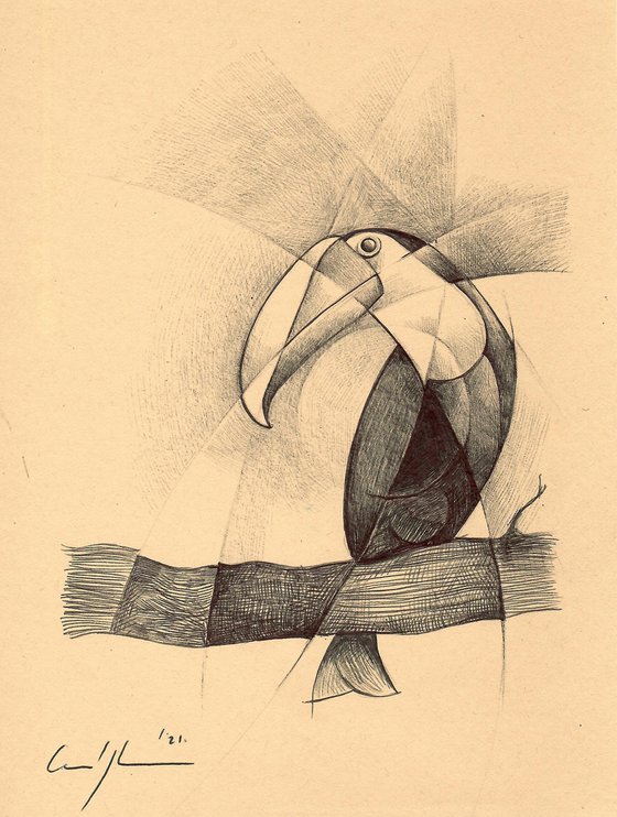 Dynamic study of a toucan
