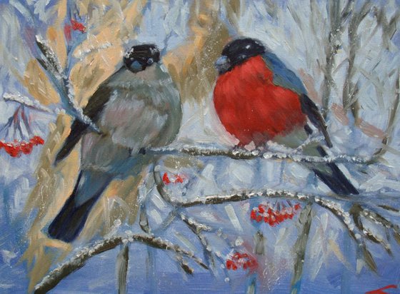 Bullfinches