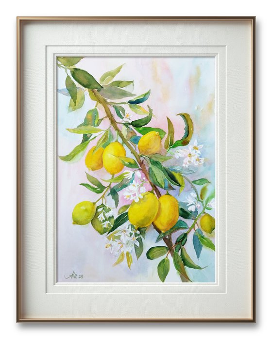 Lemon tree branch