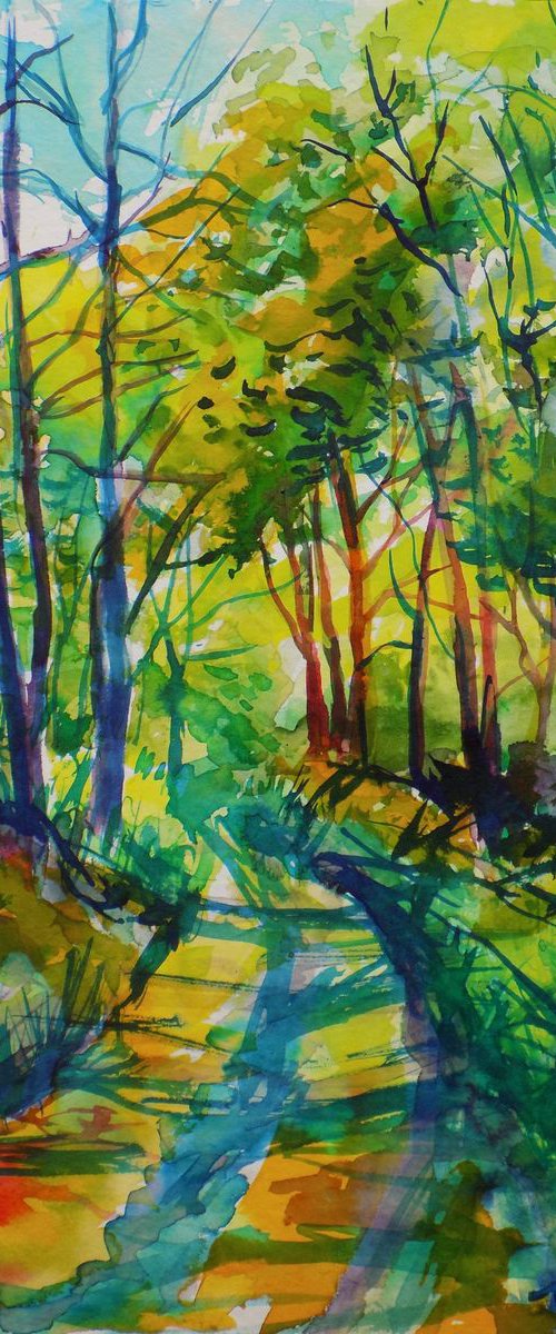 Country road by Maja Grecic
