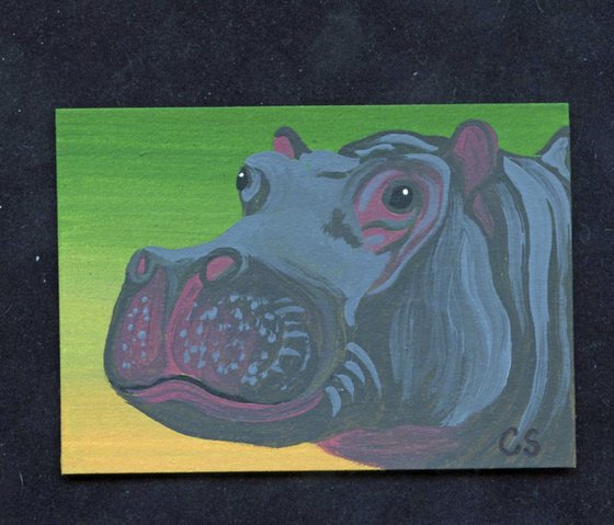 ACEO ATC Original Miniature Painting Hippopotamus Hippo Wildlife Art-Carla Smale