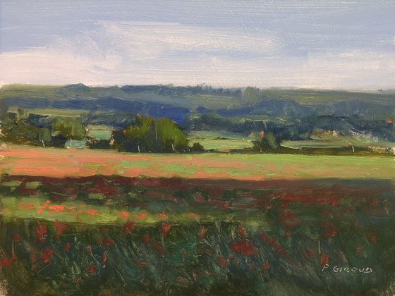 Poppies Field