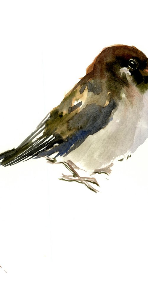 Sparrow, bird painting by Suren Nersisyan