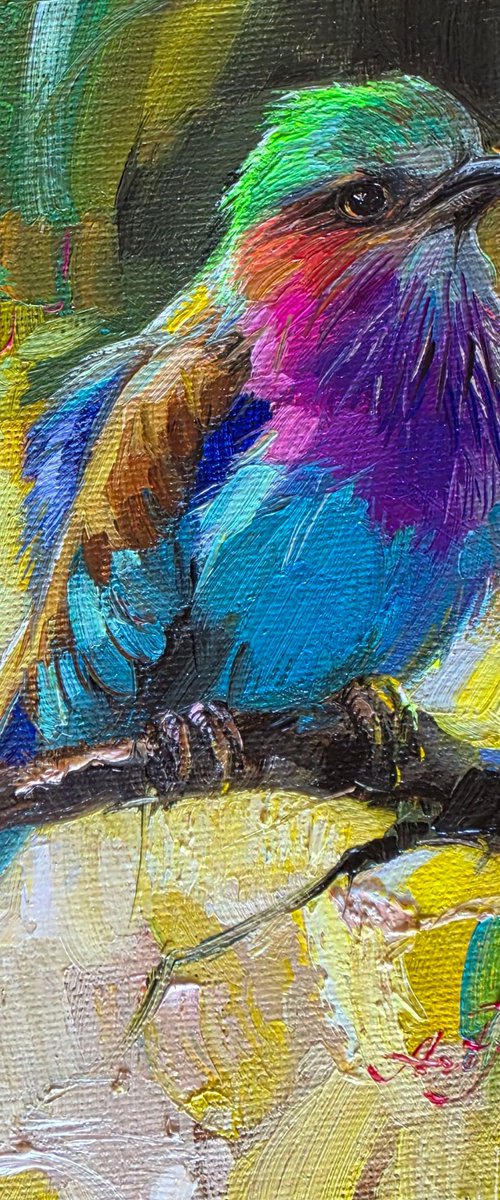Lilac-breasted roller by Nataly Derevyanko