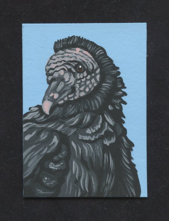 ACEO ATC Original Miniature Painting Black Vulture Bird Wildlife Art-Carla Smale