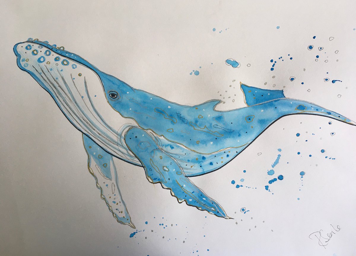 Whale by Ruth Searle