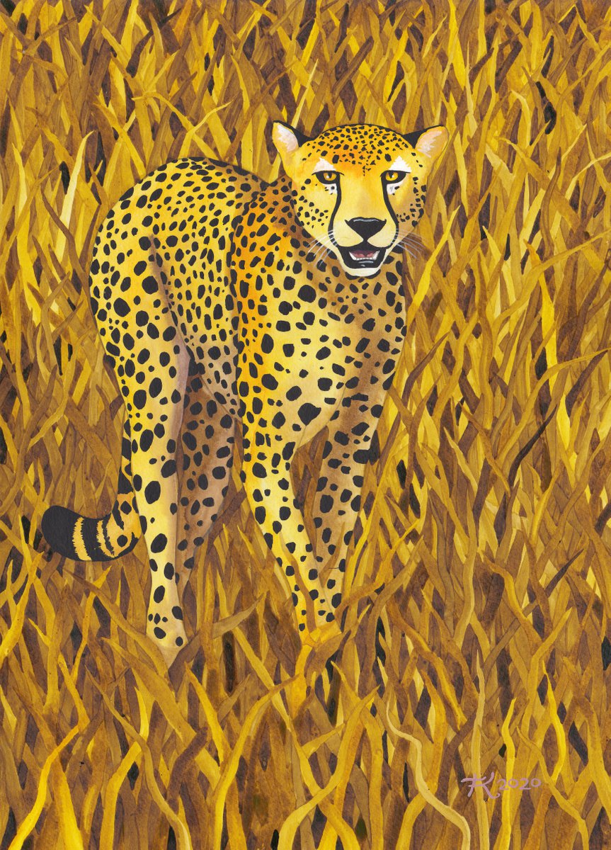 Illustrative Animal Painting By Terri Smith, 12 X 16", Jungle Cat 10, Original Artwork