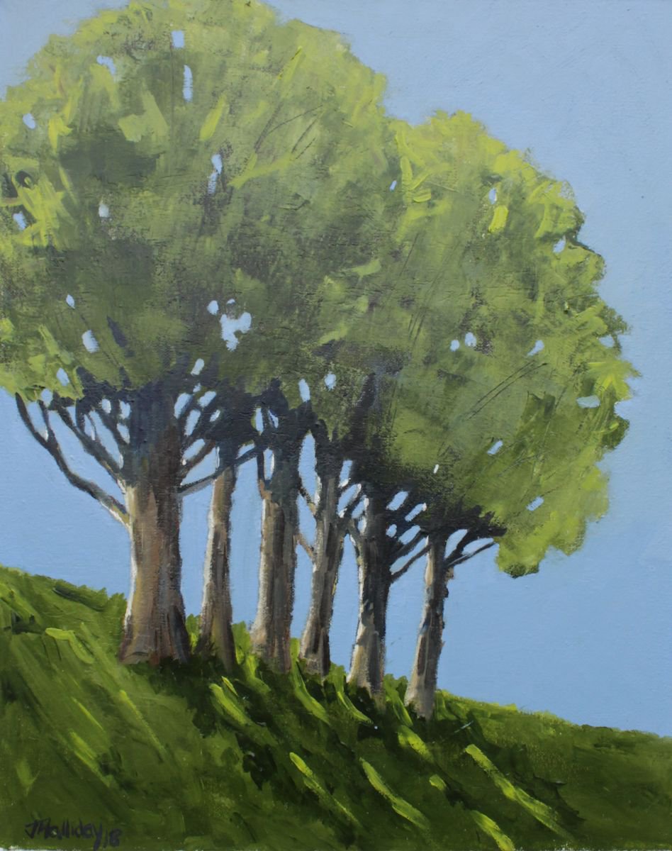 6 Trees by John Halliday