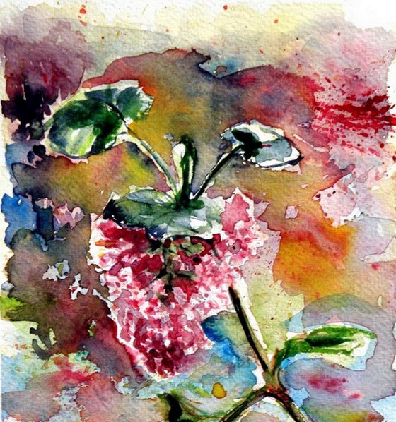 Spring flower