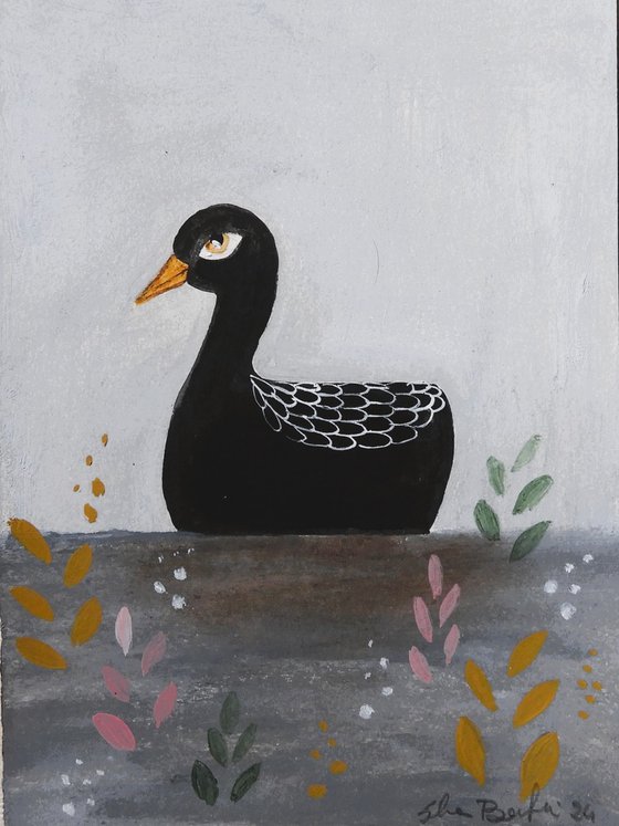 The black duck