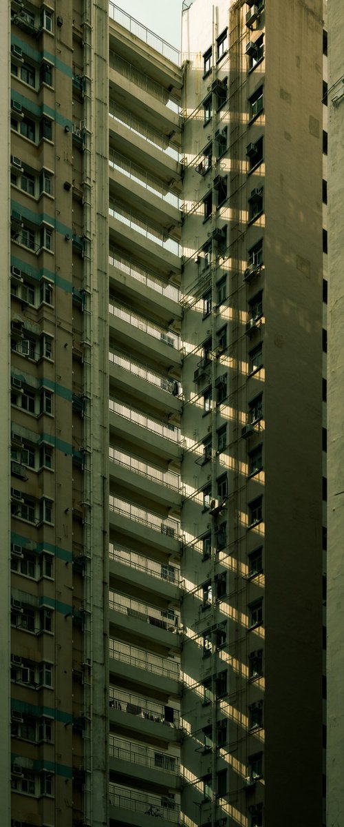 Crossing Paths by Serge Horta