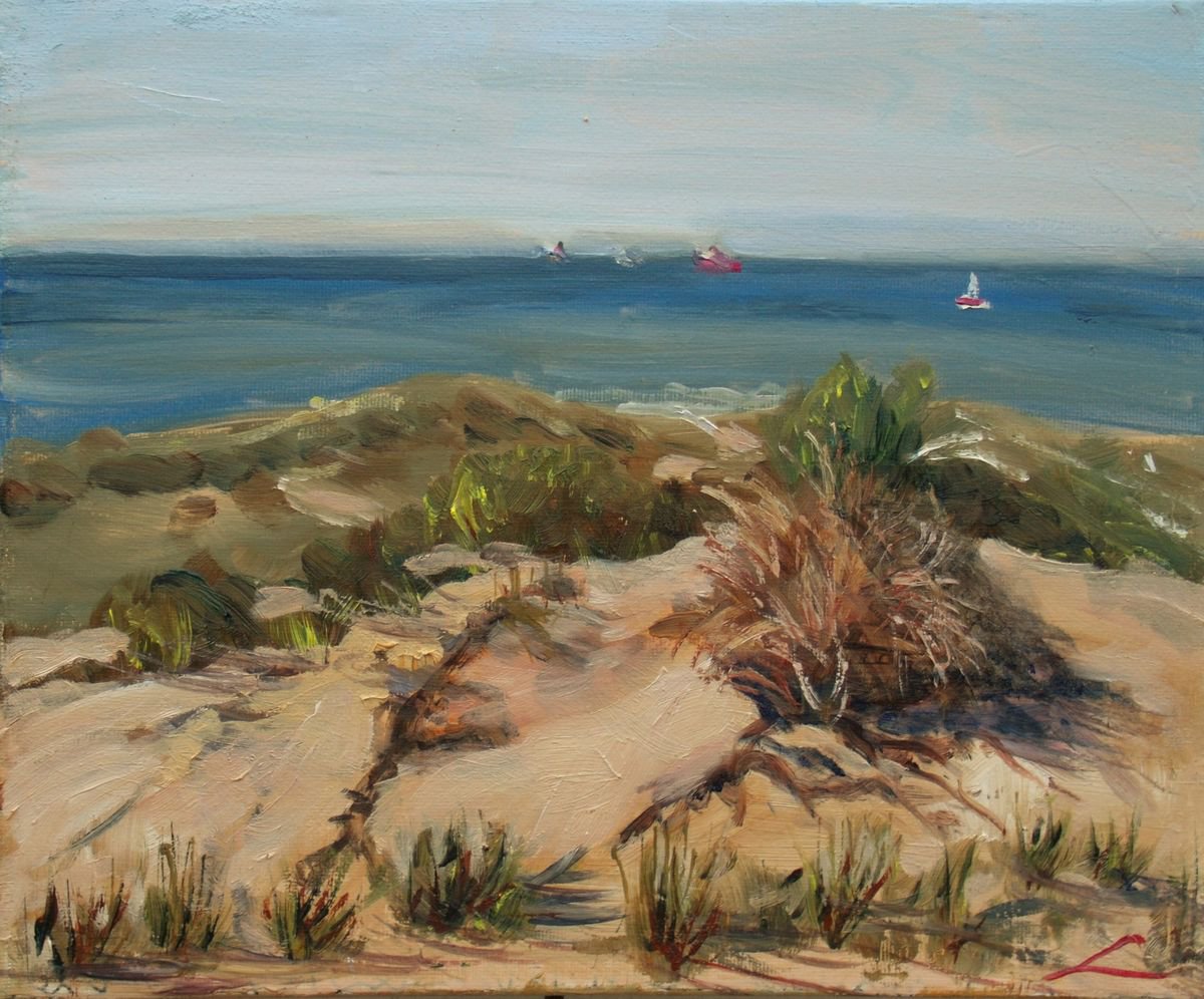 North sea dunes by Elena Sokolova