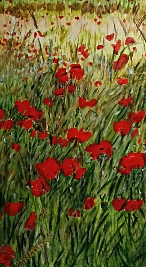 Red poppies flowers by Isabelle Lucas